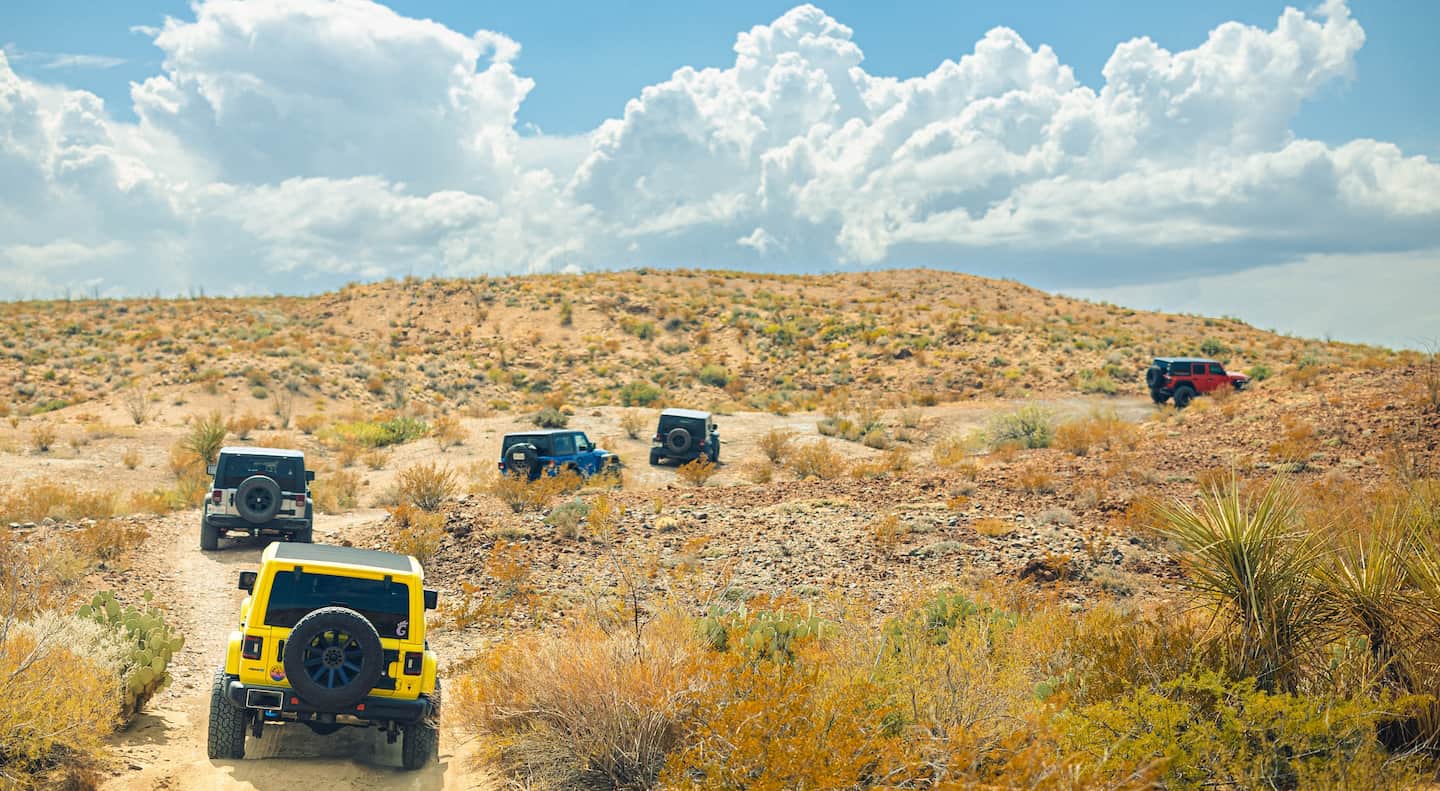 5 Jeep vehicles traveling on a rugged trail  surrounded by brush