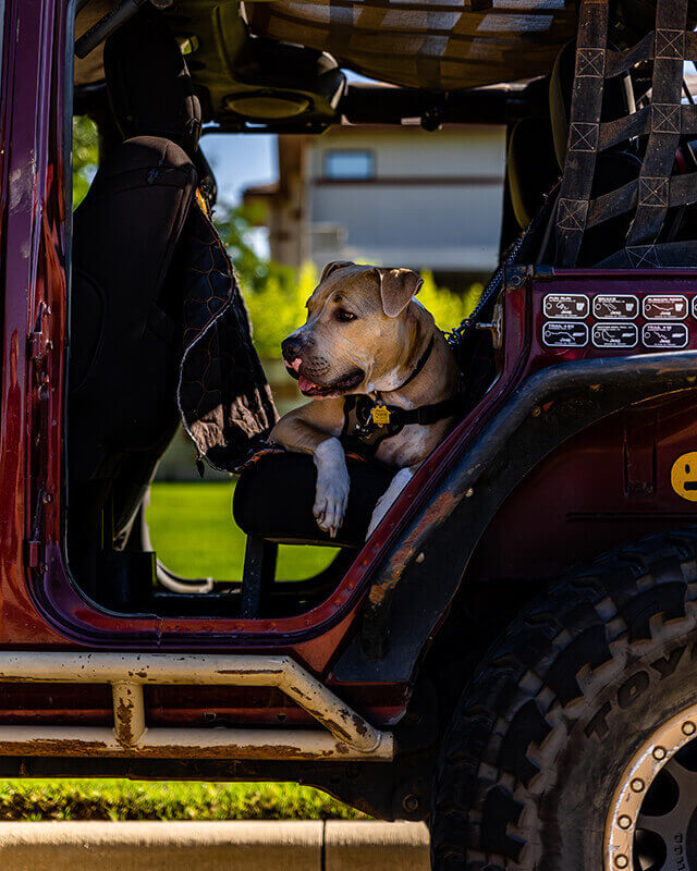 Waiting-for-the-next-adventure-opt