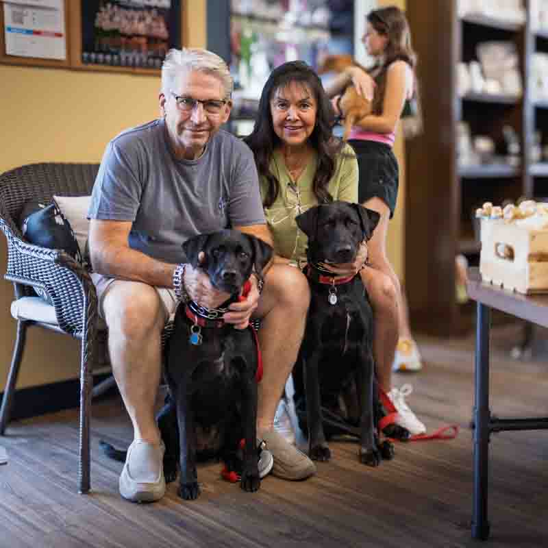 event-photography-petwants-rich-noah-creative a caucasian man and woman seated on a bench with their two black dogs in front of them and all face the camera.